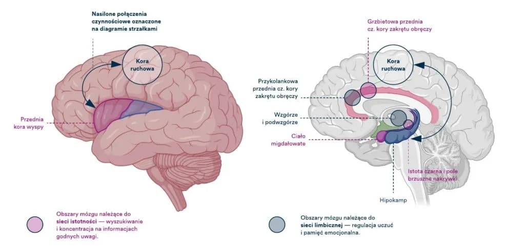 Zaburzenia czynnościowe: Gdy ciało boli, a badania milczą