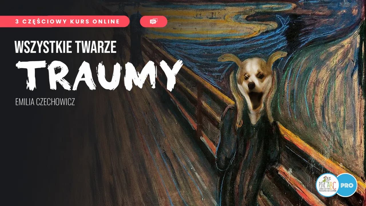 Objawy zaburzeń adaptacyjnych: rozpoznaj, zrozum, działaj!